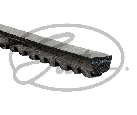 Belt avx10x1125hd gates - avx10x1125hd,