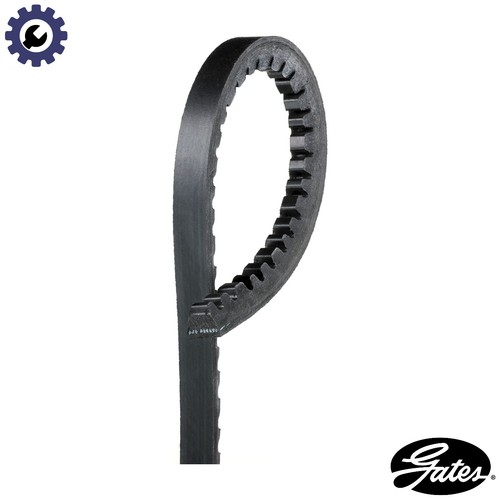 Vbelt avx10x1125hd for - avx10x1125hd,
