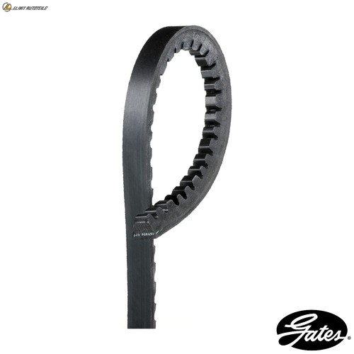 Belt avx10x1125hd for lexus - avx10x1125hd,