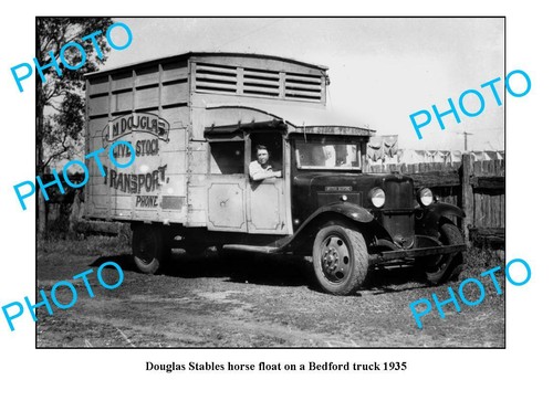 Old photo douglas horse - 4,
